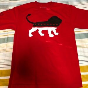 Elusive Lion T